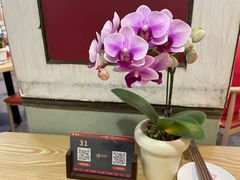 -佛有缘素食馆·荔湾老字号(陈家祠首店)
