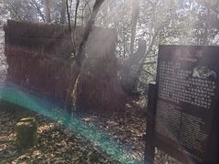 -云南屏边大围山国家公园
