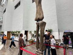 -自贡恐龙博物馆