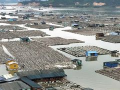 -北岐滩涂
