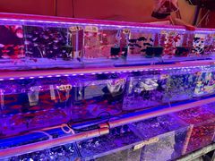 -哈尔滨道外花鸟鱼市场