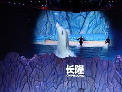 -珠海长隆海洋王国