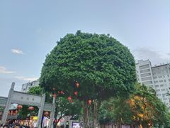 -三坊七巷历史文化街区