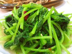 -乡土特色.冷锅鱼.牦牛肉汤锅