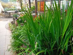 -听香·678茶铺(猛追湾店)