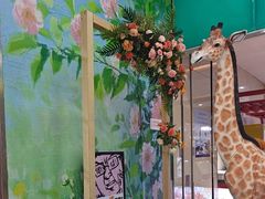 -万达广场(泰安泰山店)