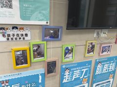-谐和益家动物医院·免疫绝育·血液透析·宠保定点医院(高新伊藤分院)