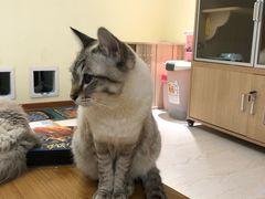 -猫和宫(六道口店)