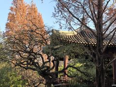 -元大都城垣遗址公园