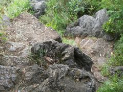 -西华公园