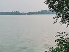 -金银湖国家城市湿地公园