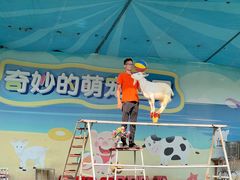 -光明小镇欢乐田园