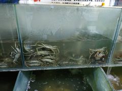 -蟹道河蟹大米商行