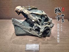 -自贡恐龙博物馆
