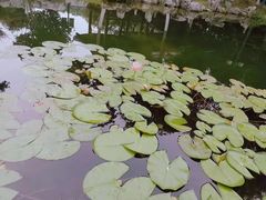 -金银湖国家城市湿地公园