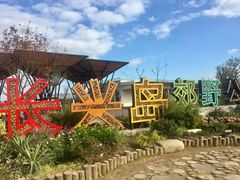 -上海长兴岛郊野公园