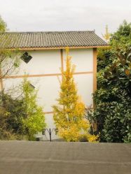 -莲生母婴月子中心(清水河公园店)