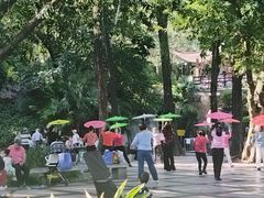 -晓港公园
