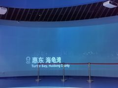 -广东惠东海龟国家级自然保护区