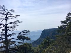 -瓦屋山景区