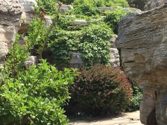 -燕郊植物园