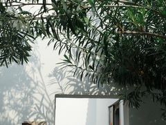 -南京市民俗博物馆(甘熙故居)