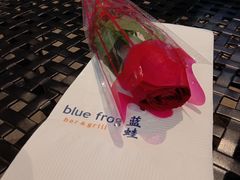 -bluefrog蓝蛙(皇庭广场店)