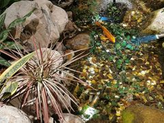 -清真·京华源铜锅涮肉(丰庆店)