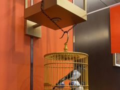 -了凡国风主题茶馆·咖啡(武侯祠锦里店)