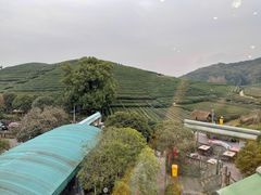 -听风阁农家私房菜茶楼(龙坞店)