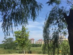 园内广场-鉴湖国家城市湿地公园