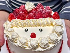 -维尔纳斯·生日蛋糕·动物奶油冰淇淋蛋糕(六里桥店)