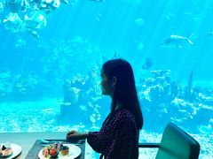 -海棠湾洲际-涛·海底餐厅·美人鱼·自助餐·海底隧道