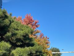 -万鼎沸菌汤火锅(柘城店)