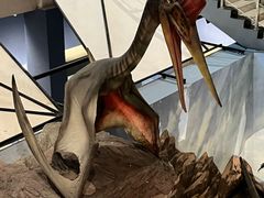 -湖南省地质博物馆