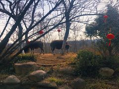 -茅山东方盐湖城景区