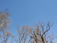 -李家庄村