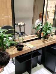 -苑苑发型设计