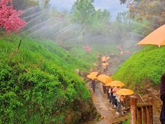 -雪山彩虹谷景区