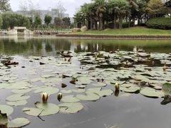 -上海鲜花港