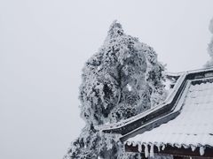 -峨眉山风景名胜区