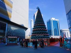 -Tiffany & Co.蒂芙尼
(南京德基广场店)