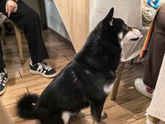 -春笙食堂.丼饭拉面寿司(GOGO新天地店)