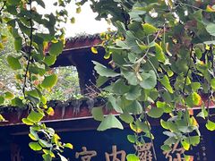 -青羊宫