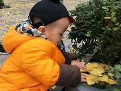 -百林公园-两江幸福广场