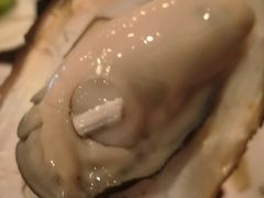 -土蚝·高压锅生蚝(百姓美食街店)