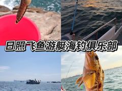 -日照海滨国家森林公园