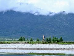 -玉湖村