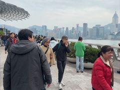 -星光大道