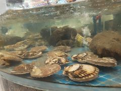 -小船渔村•大连菜•大连焖鱼(黄河路店)